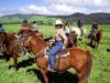  Big Island Horseback Riding Hawaii
