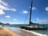  Oahu Tours