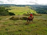 Maui Horseback Riding Maui Horseback Riding