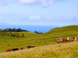  Hawaii Horseback Riding