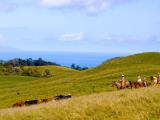 Hawaii Horseback Riding Hawaii Horseback Riding