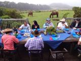 Makawao Maui Makawao Maui