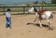 Horseback Riding On Maui