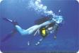 Scuba Diving in oahu