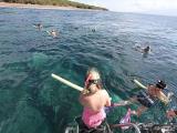 Lanai Dolphin Adventure