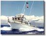  Sport Fishing in Maui