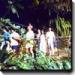  Hawaii Activities Discount