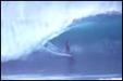  Hawaii Activities Discount