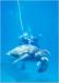 Things To Do in Maui
