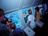 Reefdancer Glass Bottom Boat Tour – 1 hour Reefdancer Glass Bottom Boat Tour – 1 hour