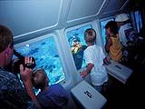 Reefdancer Glass Bottom Boat Tour – 1 hour