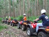 Waterfall & Rainforest Trail Adventure ATV Outfitters Hawaii Big Island