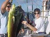 Oahu Tours Oahu Tours