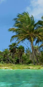 Hawaii Activities